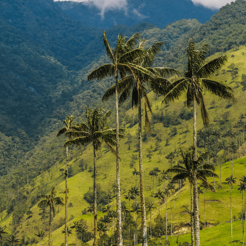 Photo of COLOMBIA - GROEP 2 - LAATSTE KAMERS